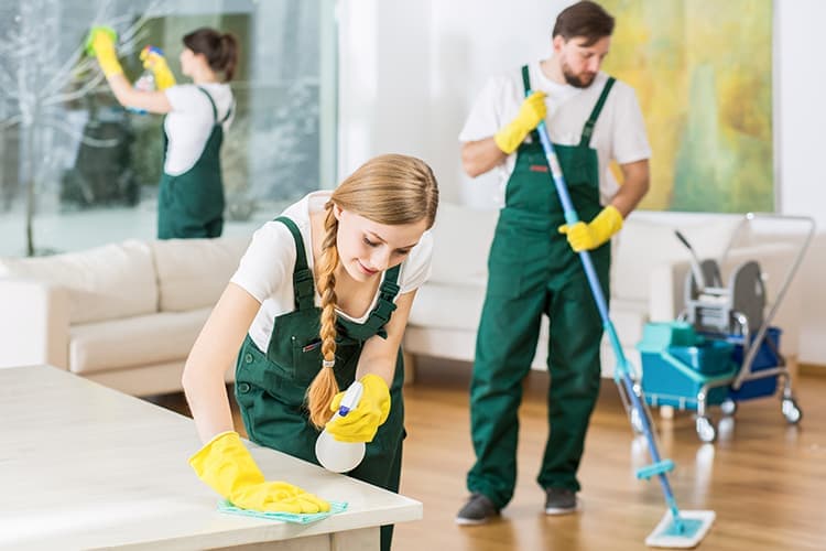CleanEdge Solutions