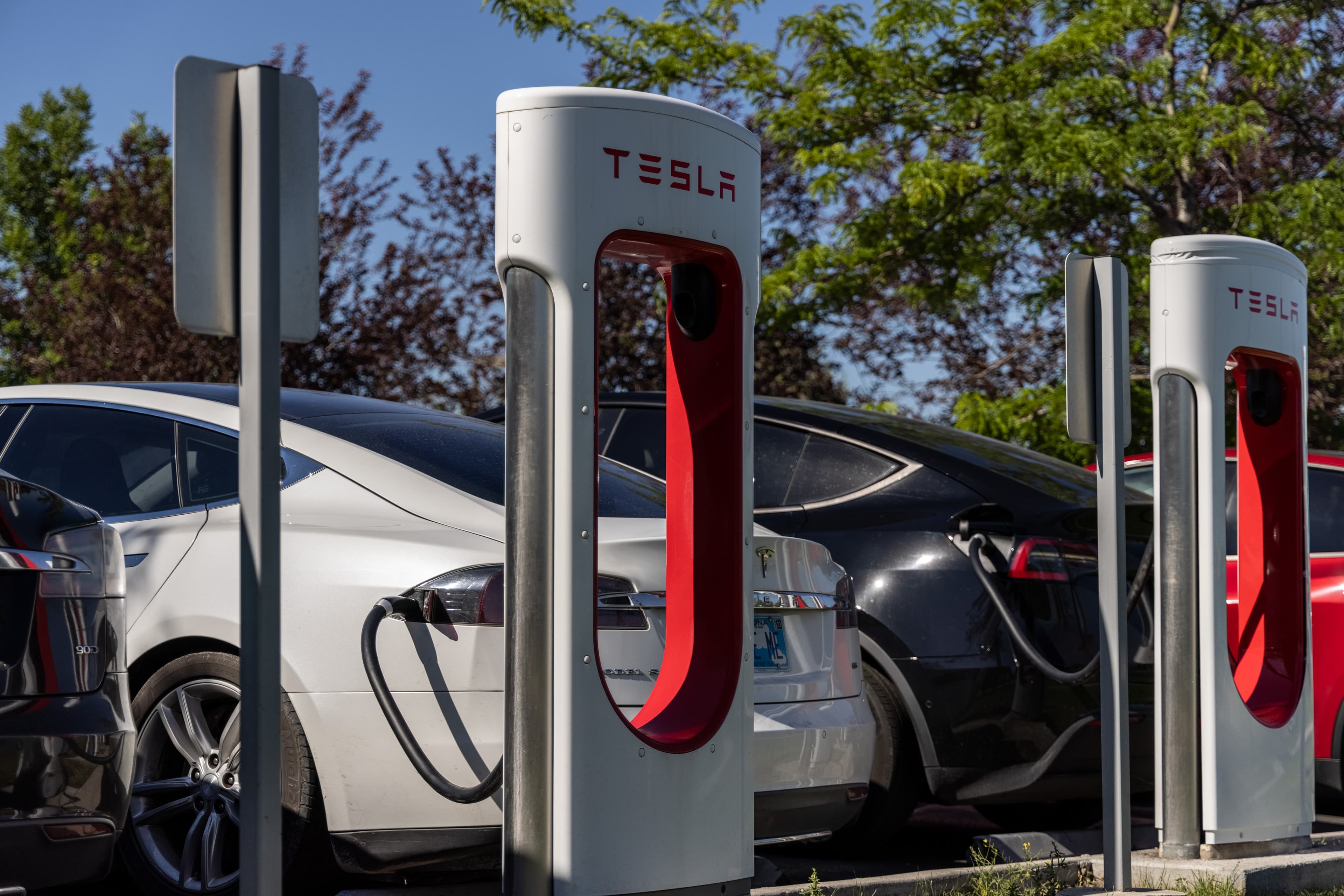 EV Charging Station Network Business